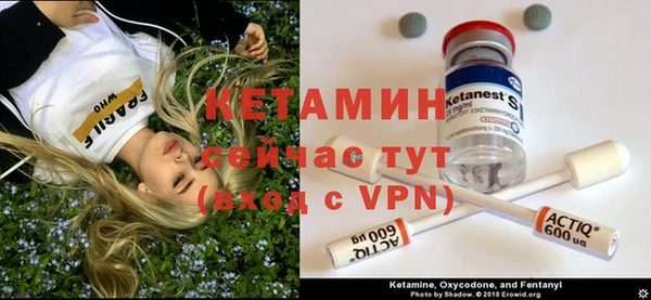 мдпв Богданович
