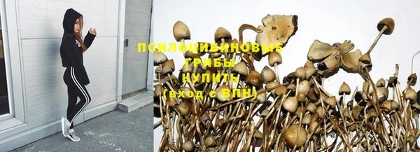 мдпв Богданович