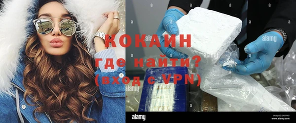 мдпв Богданович