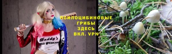 мдпв Богданович