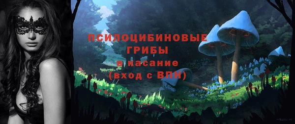 мдпв Богданович