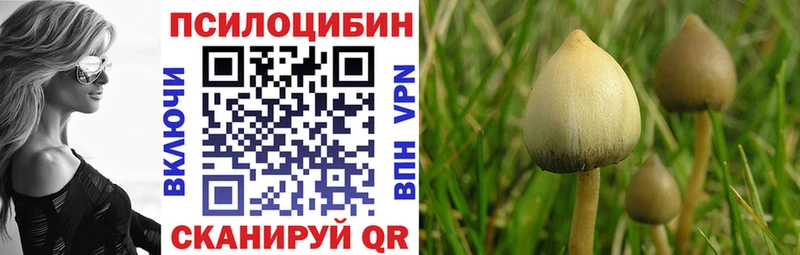 Купить где  Ульяновск  Псилоцибиновые грибы ЛСД 